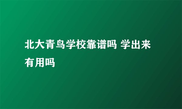 北大青鸟学校靠谱吗 学出来有用吗