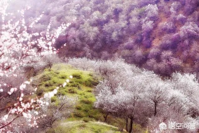 大西北有哪些旅游的好地方?