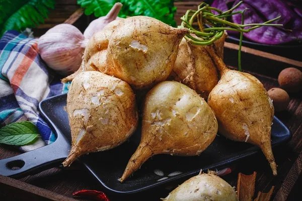 白地瓜的功效与作用