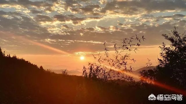 女子爱好收藏垃圾被邻里起诉，对此你怎么看？