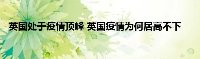 英国处于疫情顶峰 英国疫情为何居高不下