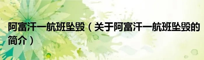 阿富汗一航班坠毁（关于阿富汗一航班坠毁的简介）