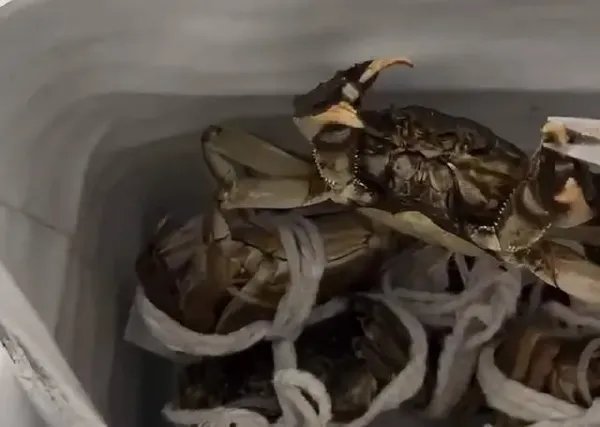 小伙被螃蟹夹手反咬一口，结果患肺吸虫病，为何会出现如此严重后果？