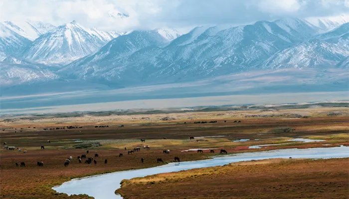 格尔木海拔多少米 格尔木的海拔高度是多少米