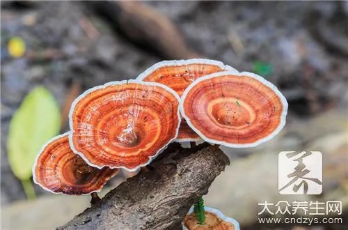 熟女必须吃的15种养生食物!