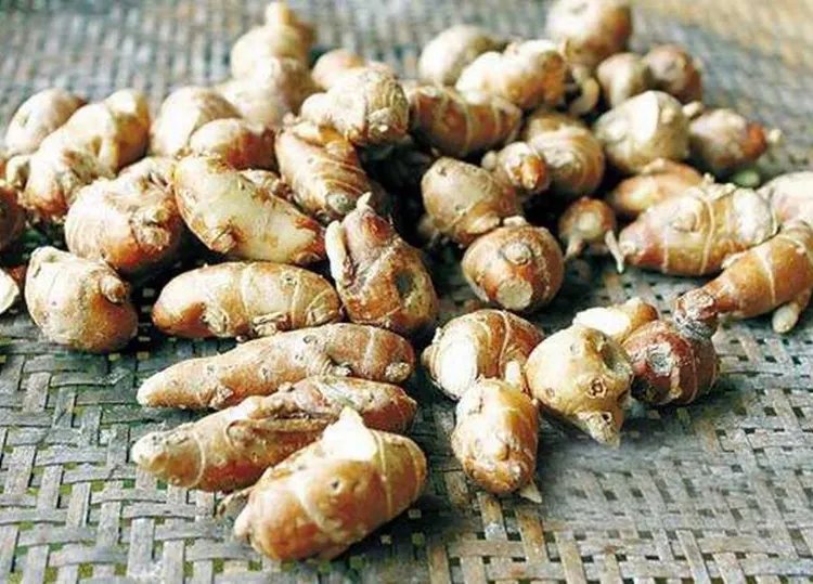 沙姜的功效与作用