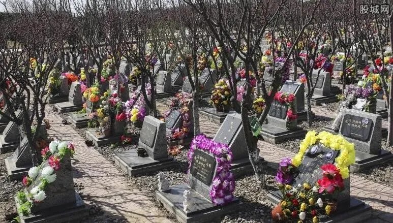 西安一墓地代扫墓 明码标价收费一次100元