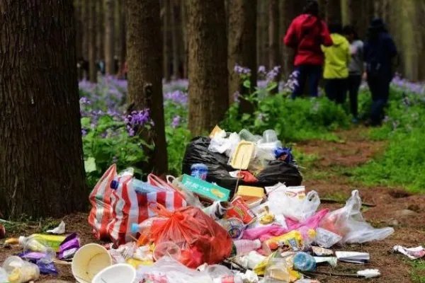 台南黄金海岸线堆满垃圾，这种乱丢垃圾行为为何屡禁不止？