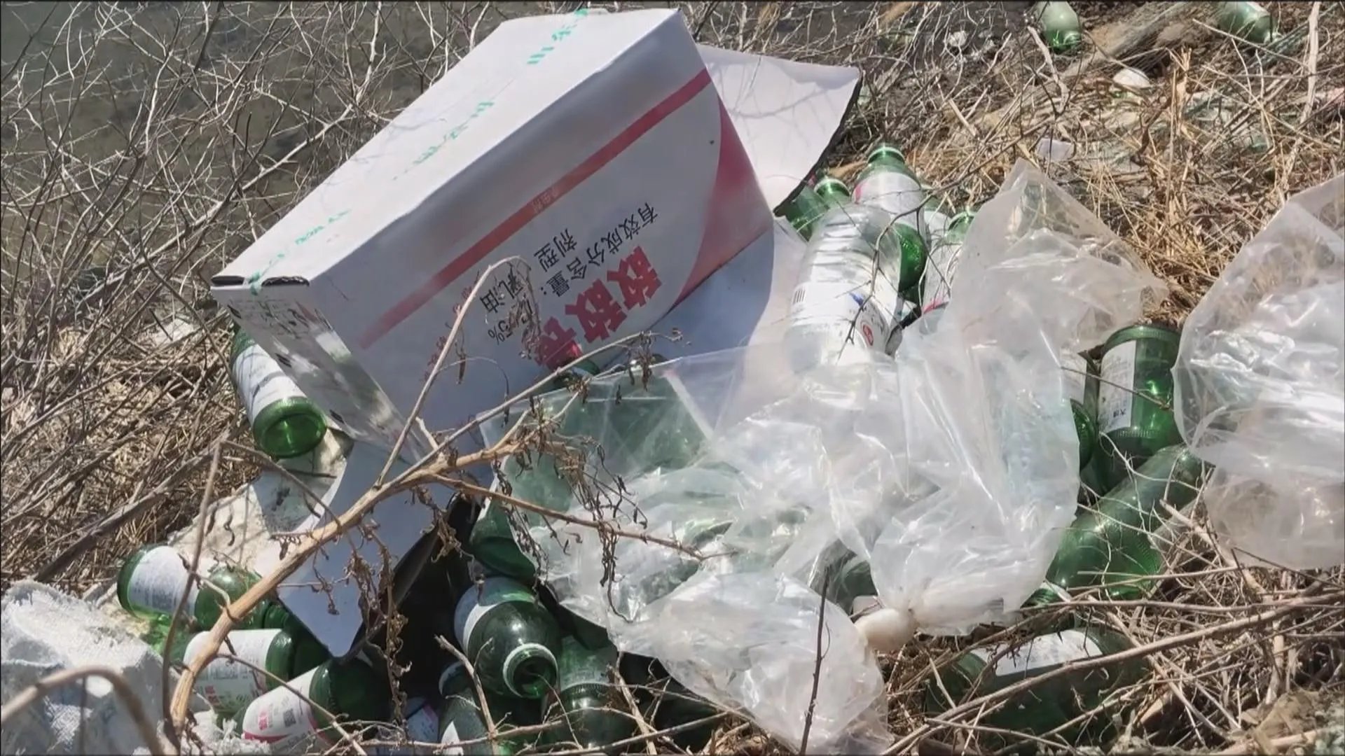 即墨海参违规养殖3人被控制，这样的海参以后还敢食用吗？