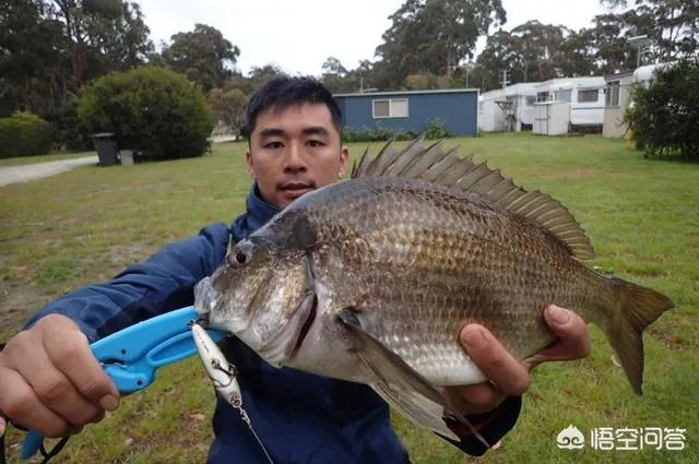 除了《游钓中国》，你还喜欢什么钓鱼类视频？