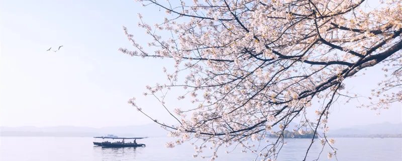 三月的英文缩写是什么