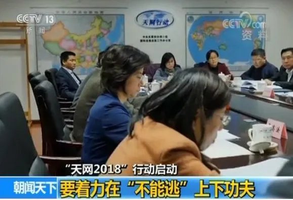 天网2018启动的原因目的是什么？