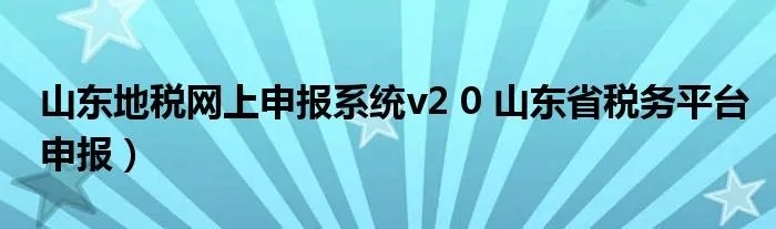 山东地税网上申报系统v2 0 山东省税务平台申报）