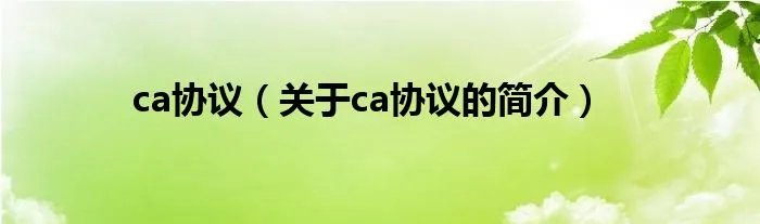 ca协议（关于ca协议的简介）