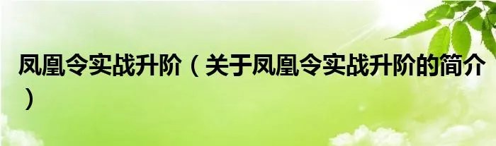 凤凰令实战升阶（关于凤凰令实战升阶的简介）