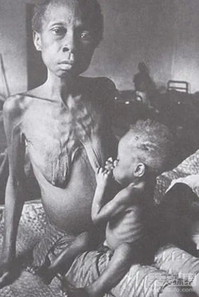 世界最凄惨的30张照片 你能看几张(太震撼了)