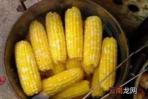 为什么玉米要尽量少吃( 二 )