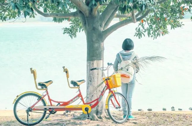 2020表达心情失落的句子 2020最简短最心酸的一句话