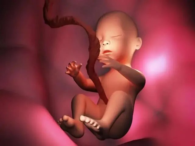 二胎100%怀孕生女儿的症状有哪些？