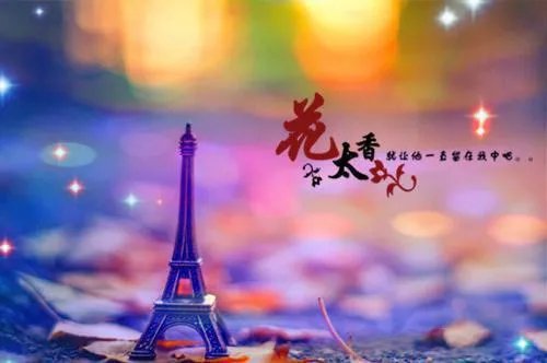 温柠柠陆珩礼小说在线阅读