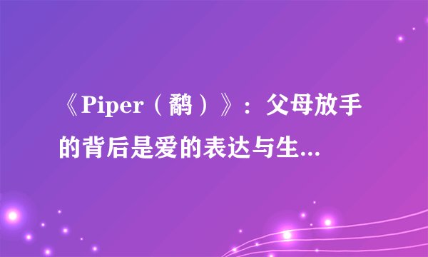 《Piper（鹬）》：父母放手的背后是爱的表达与生命的延续