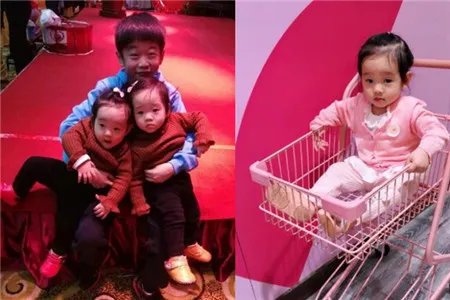 杨云晒女儿懵懂照尽显呆萌可爱 有娃如此万事足