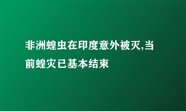 非洲蝗虫在印度意外被灭,当前蝗灾已基本结束