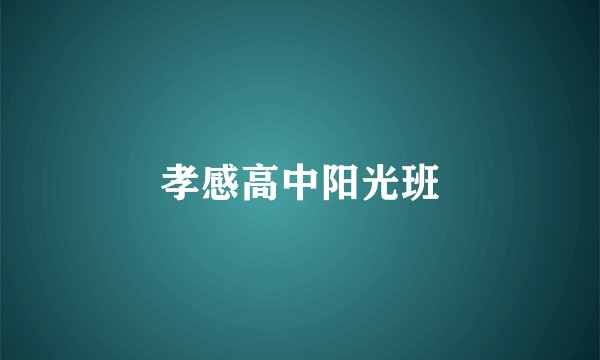 孝感高中阳光班