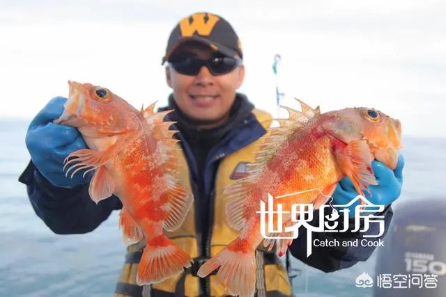 除了《游钓中国》，你还喜欢什么钓鱼类视频？