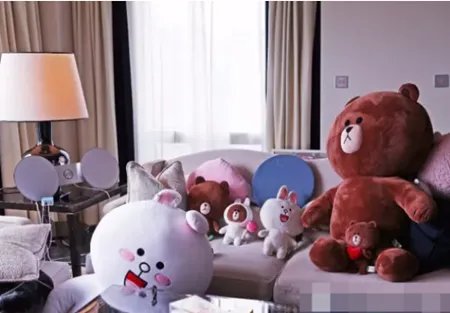 王思聪起居室曝光 心里也住着“小公举”