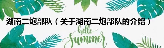 湖南二炮部队（关于湖南二炮部队的介绍）