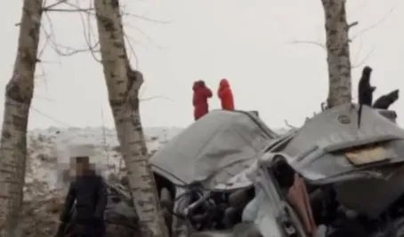 北京林业大学9名女生遭遇车祸情况如何?