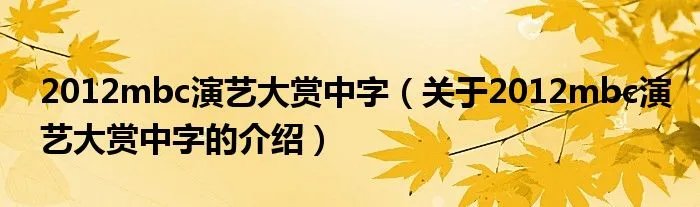 2012mbc演艺大赏中字（关于2012mbc演艺大赏中字的介绍）