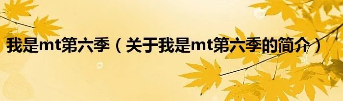 我是mt第六季（关于我是mt第六季的简介）