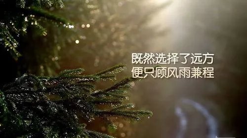 6月海外考试取消