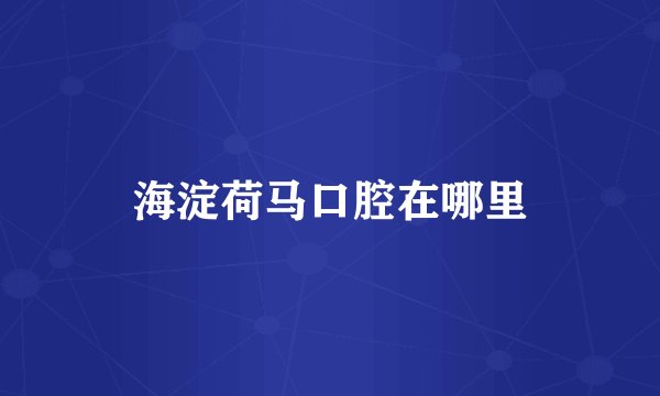 海淀荷马口腔在哪里