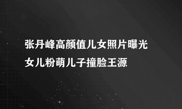 张丹峰高颜值儿女照片曝光 女儿粉萌儿子撞脸王源