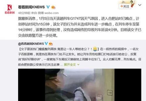阻拦高铁女子被罚，处罚力度足以让人信服吗？