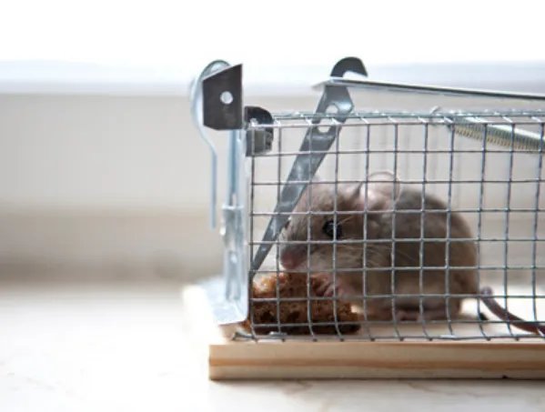 河南安阳回应村民中毒,都说明了哪些情况?