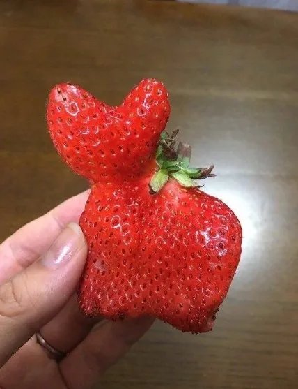 一颗特别像猫咪的草莓是什么梗