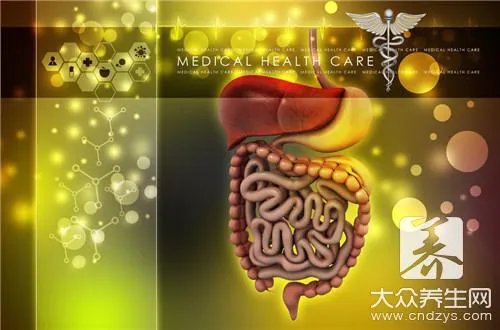 胆汁是由什么分泌的?