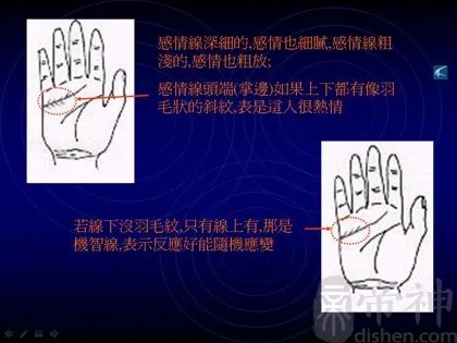 教你如何看手相？看手相算命图解大全