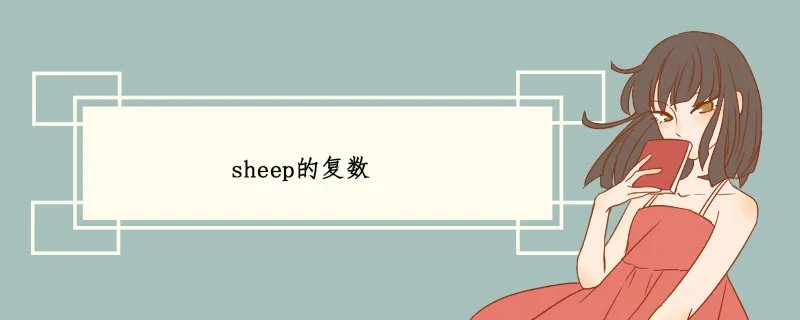 sheep的复数