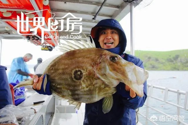 除了《游钓中国》，你还喜欢什么钓鱼类视频？