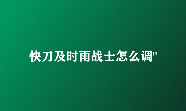 快刀及时雨战士怎么调