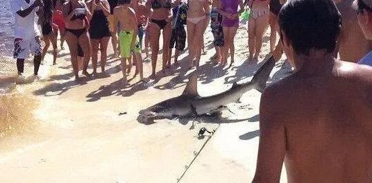 男子海边垂钓发现这物 罕见一幕让人惊呆（图）