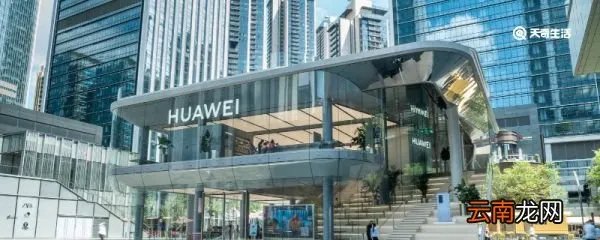 孟晚舟为什么不姓任 孟晚舟简介