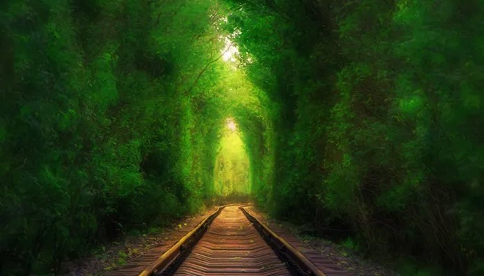 秦岭隧道最长多少公里 秦岭隧道简介