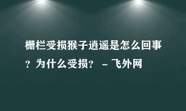 栅栏受损猴子逍遥是怎么回事？为什么受损？ - 飞外网