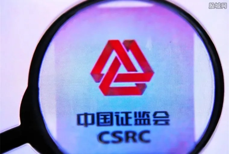 证监会惩戒老赖 51人竟至今未缴纳巨额罚款